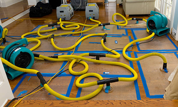 Professional Basement Flood Cleanup technician working in Hometown, WV